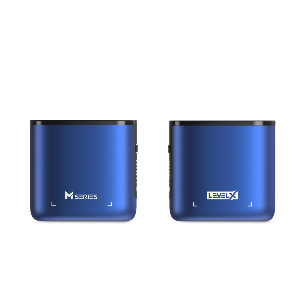 Flavour Beast Level X Battery